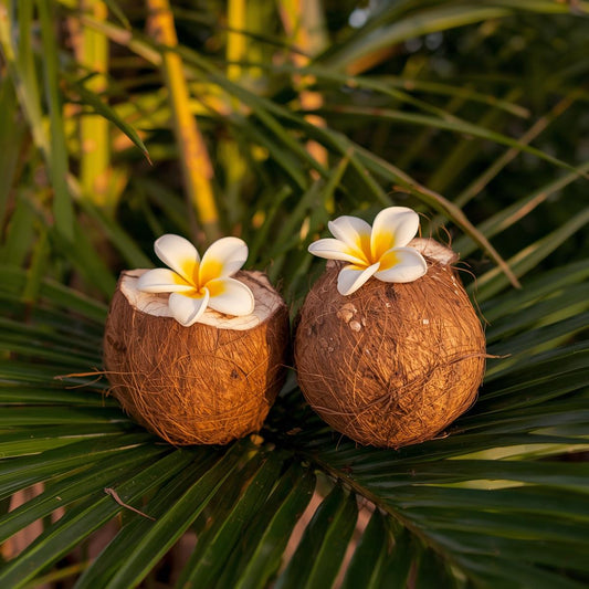 Coconut Paradise