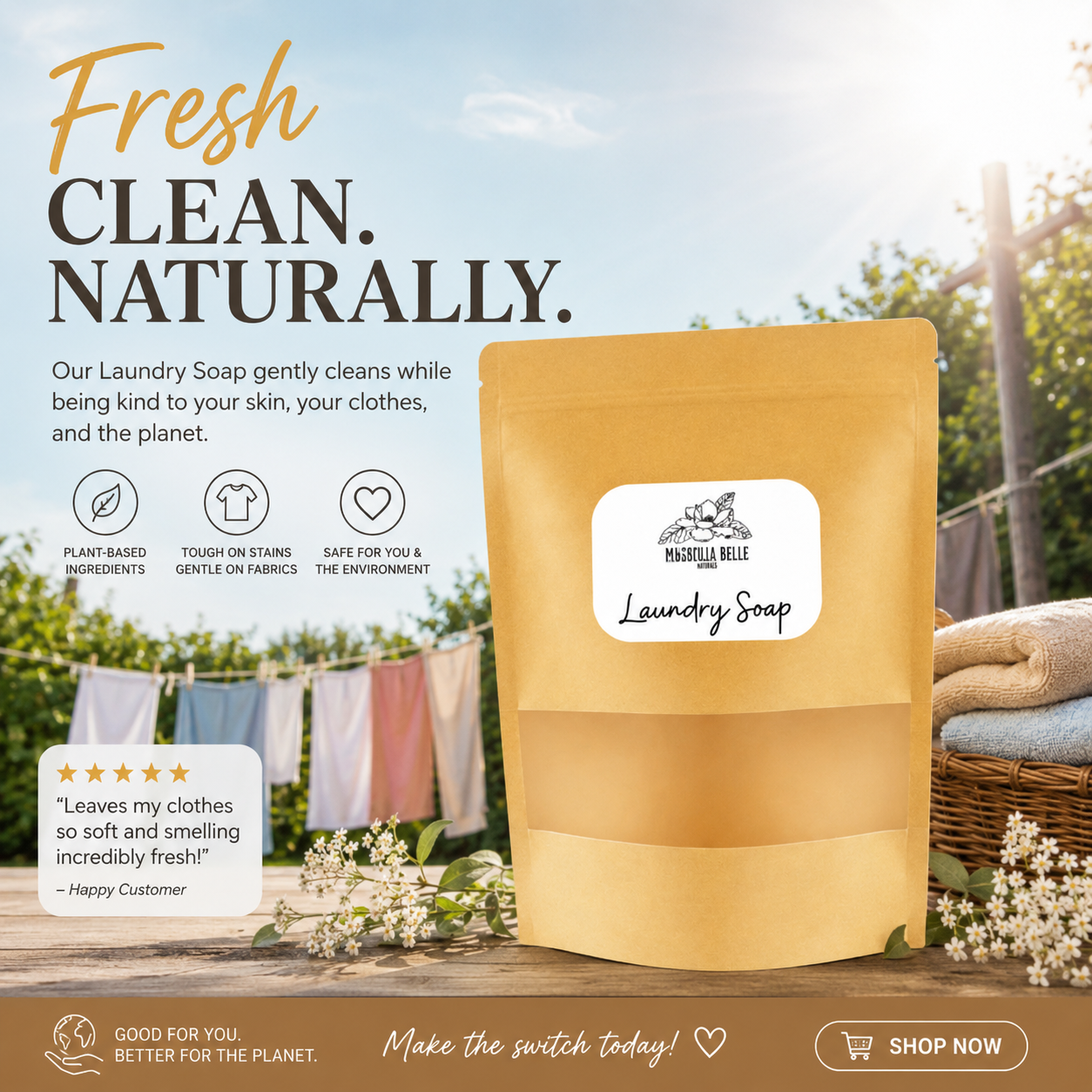 Laundry Soap Detergent | Non-toxic